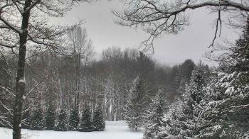 Weather camera view of Sky Valley Lodge.
