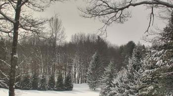 Weather camera view of Sky Valley Lodge.