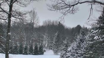 Weather camera view of Sky Valley Lodge.
