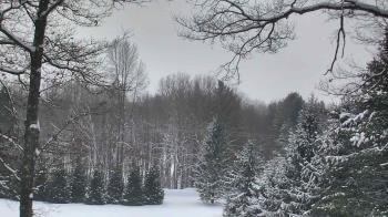 Weather camera view of Sky Valley Lodge.
