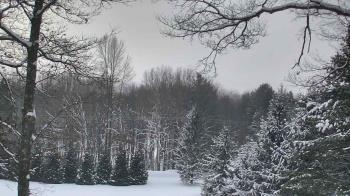 Weather camera view of Sky Valley Lodge.