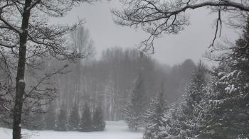 Weather camera view of Sky Valley Lodge.