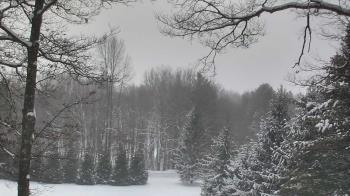 Weather camera view of Sky Valley Lodge.