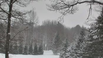 Weather camera view of Sky Valley Lodge.