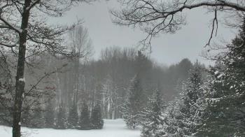 Weather camera view of Sky Valley Lodge.