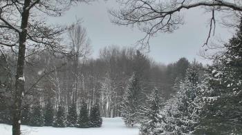 Weather camera view of Sky Valley Lodge.