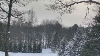 Weather camera view of Sky Valley Lodge.