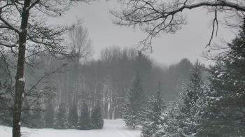 Weather camera view of Sky Valley Lodge.