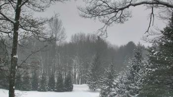 Weather camera view of Sky Valley Lodge.