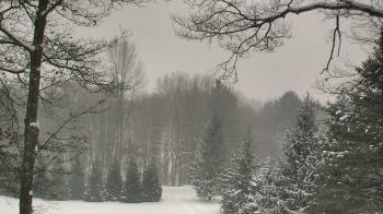 Weather camera view of Sky Valley Lodge.