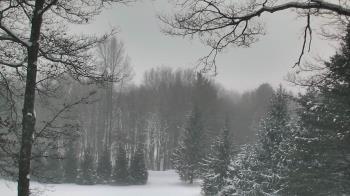 Weather camera view of Sky Valley Lodge.
