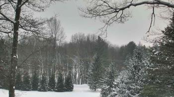 Weather camera view of Sky Valley Lodge.