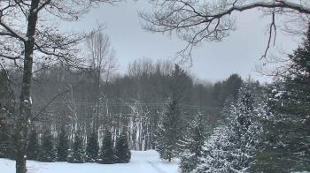 Weather camera view of Sky Valley Lodge.