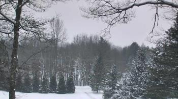 Weather camera view of Sky Valley Lodge.