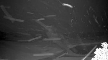 Weather camera view of The Clubs at Houston Oaks.