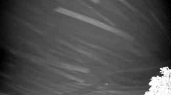 Weather camera view of The Clubs at Houston Oaks.