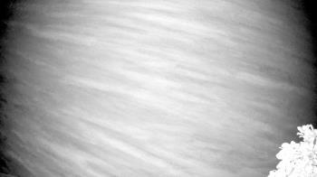 Weather camera view of The Clubs at Houston Oaks.