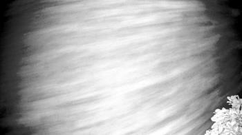 Weather camera view of The Clubs at Houston Oaks.