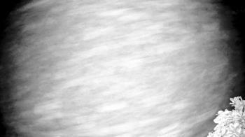 Weather camera view of The Clubs at Houston Oaks.