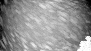 Weather camera view of The Clubs at Houston Oaks.