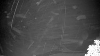 Weather camera view of The Clubs at Houston Oaks.