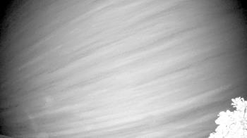 Weather camera view of The Clubs at Houston Oaks.