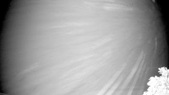 Weather camera view of The Clubs at Houston Oaks.