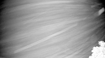 Weather camera view of The Clubs at Houston Oaks.