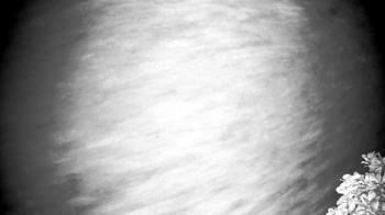 Weather camera view of The Clubs at Houston Oaks.