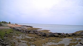 Weather camera view of Outer Island (Thimble Island Group).