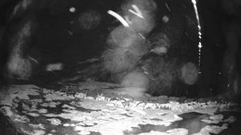 Weather camera view of Outer Island (Thimble Island Group).
