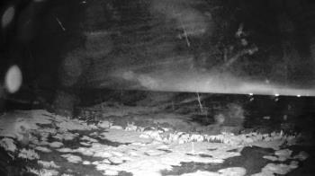 Weather camera view of Outer Island (Thimble Island Group).
