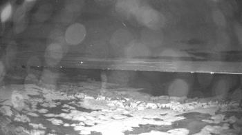 Weather camera view of Outer Island (Thimble Island Group).