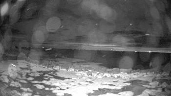 Weather camera view of Outer Island (Thimble Island Group).