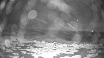 Weather camera view of Outer Island (Thimble Island Group).