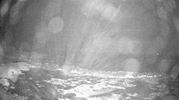 Weather camera view of Outer Island (Thimble Island Group).