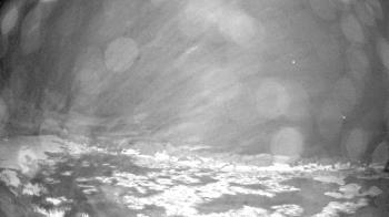 Weather camera view of Outer Island (Thimble Island Group).