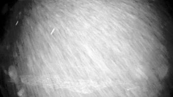 Weather camera view of Outer Island (Thimble Island Group).
