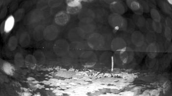 Weather camera view of Outer Island (Thimble Island Group).