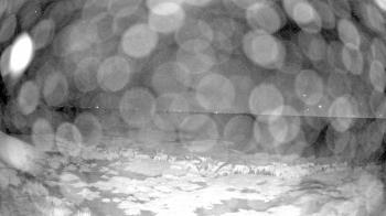 Weather camera view of Outer Island (Thimble Island Group).