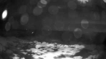 Weather camera view of Outer Island (Thimble Island Group).