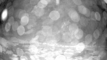 Weather camera view of Outer Island (Thimble Island Group).