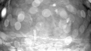 Weather camera view of Outer Island (Thimble Island Group).