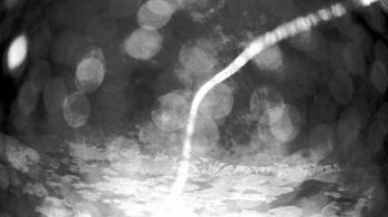 Weather camera view of Outer Island (Thimble Island Group).