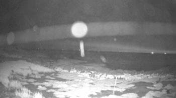 Weather camera view of Outer Island (Thimble Island Group).