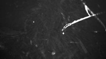 Weather camera view of Outer Island (Thimble Island Group).