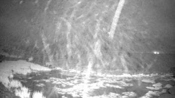 Weather camera view of Outer Island (Thimble Island Group).