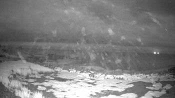 Weather camera view of Outer Island (Thimble Island Group).