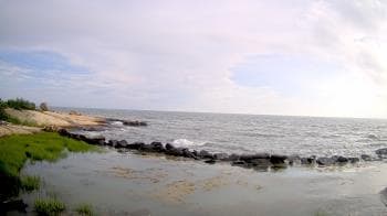 Weather camera view of Outer Island (Thimble Island Group).