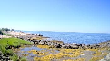 Weather camera view of Outer Island (Thimble Island Group).